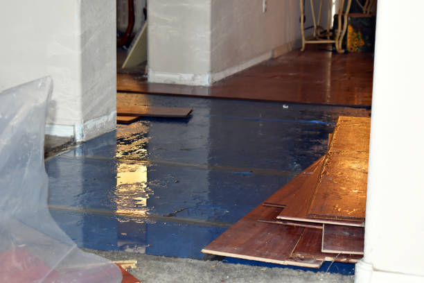 Professional Basement Flooding technician working in Deanville, TX